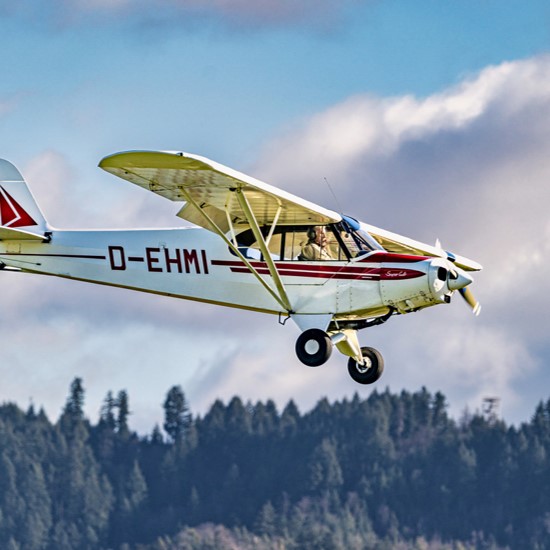 D-EHMI